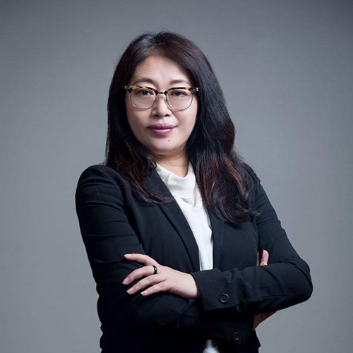 Lin Ping